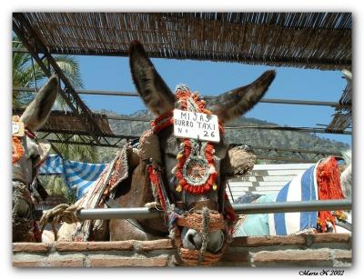 mijas burro taxi.jpg