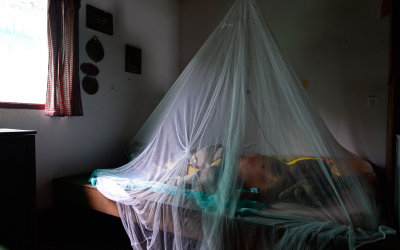 Duermo como recien nacido en Tierra infestada de Dengue