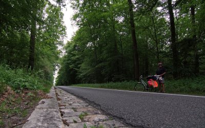 Through the Forrest of Fontainebleau ,France