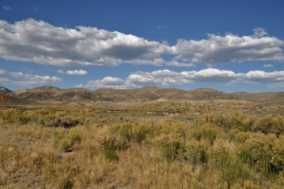 Dsc_8383.jpg