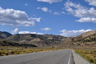 Dsc_8385.jpg