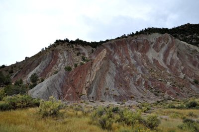 Dsc_9514.jpg