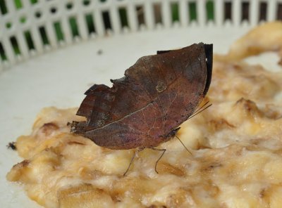 Dsc_2713.jpg