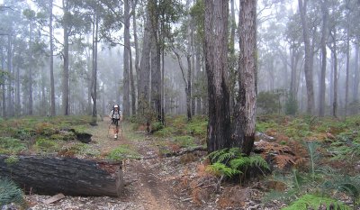 Margaret's Bibbulmun Track Photos 2009