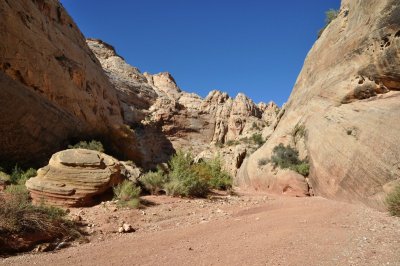Dsc_0615.jpg