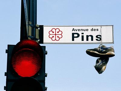 Avenue des Pins