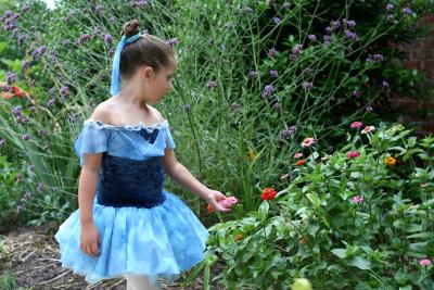 Princess in the Garden II