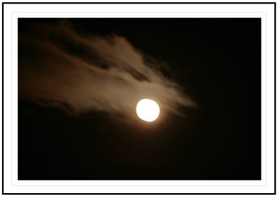 Behind My House