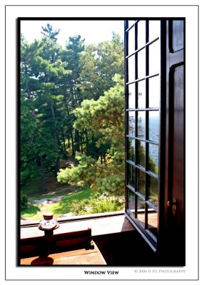 Window View