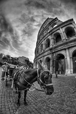 Roma in Black and white