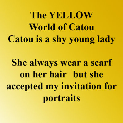 Catou's Coloured World