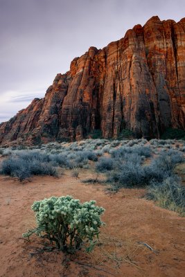 Snow Canyon