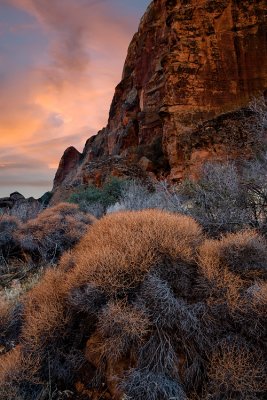 Snow Canyon