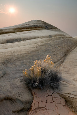 The  Rimrocks