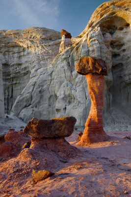 The Toadstools