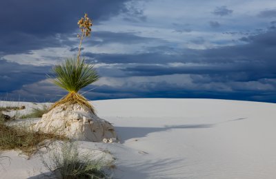 White Sands NM