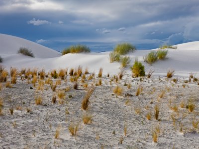 White Sands NM