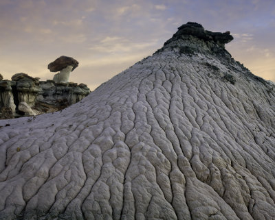 White Rocks