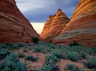 S Coyote Buttes
