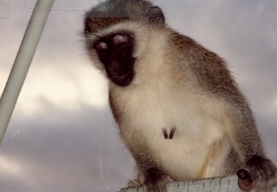 1992 Africa (39).jpg