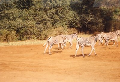 1992 Africa (43).jpg