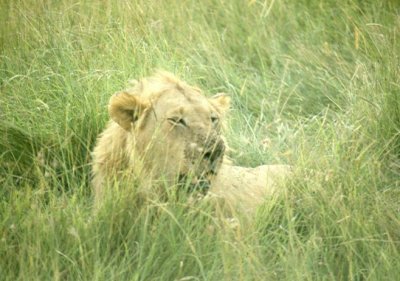 1992 Africa (58).jpg