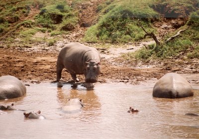 1992 Africa (6).jpg