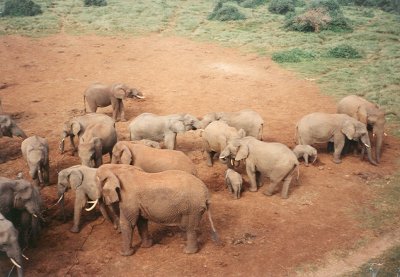 1992 Africa (64).jpg