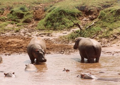 1992 Africa (7).jpg