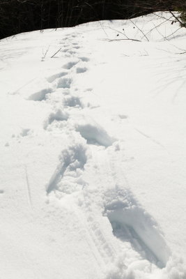_MG_3635.JPG