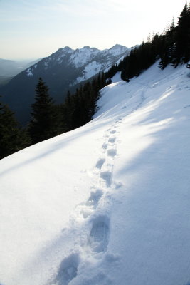 _MG_3739.JPG