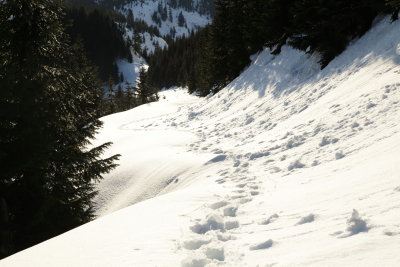 _MG_3770.JPG
