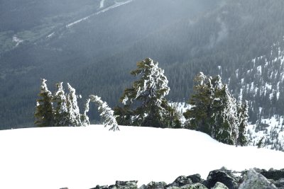 _MG_4917.JPG