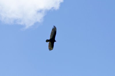 _MG_5022.JPG