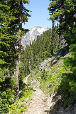 _MG_7880.JPG
