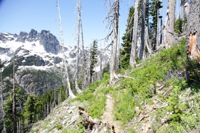 _MG_7914.JPG