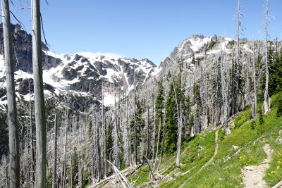 _MG_7932.JPG