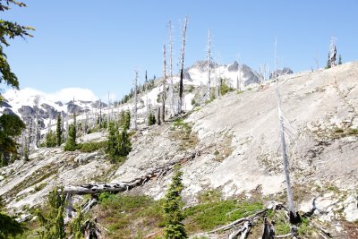 _MG_7945.JPG