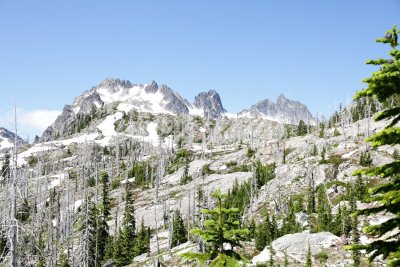_MG_7949.JPG