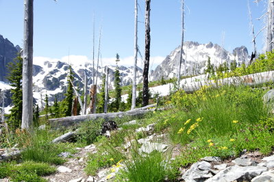 Pete Lake Trail To Waptus Burn Trail