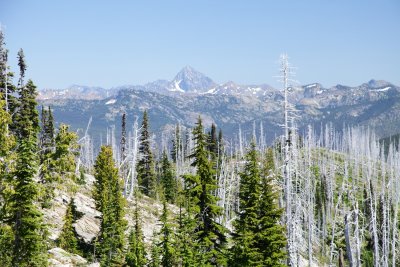 _MG_7964.JPG
