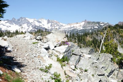 _MG_7986.JPG