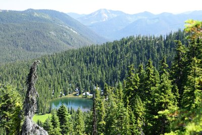 _MG_8005.JPG