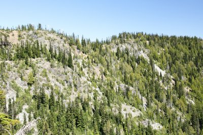 _MG_8007.JPG