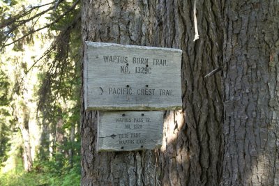 _MG_8112.JPG