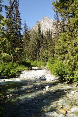 _MG_8993.JPG
