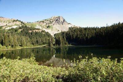 _MG_0324.JPG