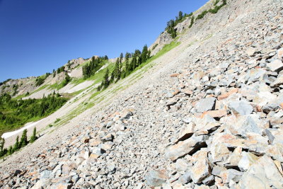 _MG_0347.JPG
