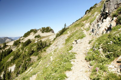 _MG_0502.JPG
