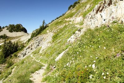 _MG_0630.JPG